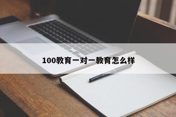 100教育一对一教育怎么样  第1张