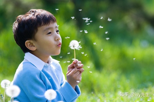 福建英语外教培训