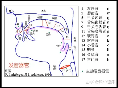 英语怎么学从零开始