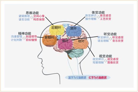 成年人英语培训