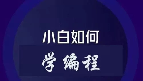 小白如何学编程