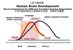 英语外教陪练口语