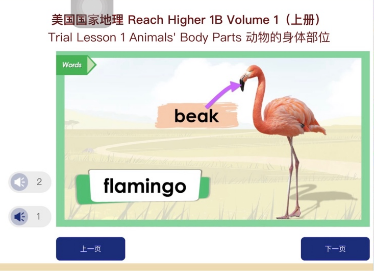 阿卡索外教网官网价格多少