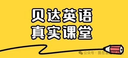 真人英语外教一对一价格