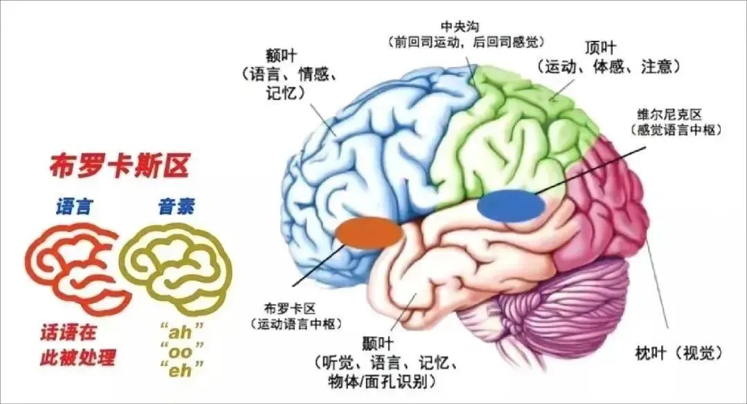 外教一对一模式好不好