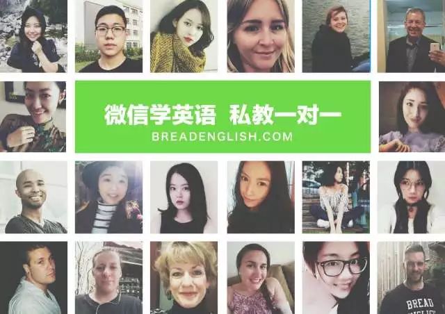 成人线上一对一外教