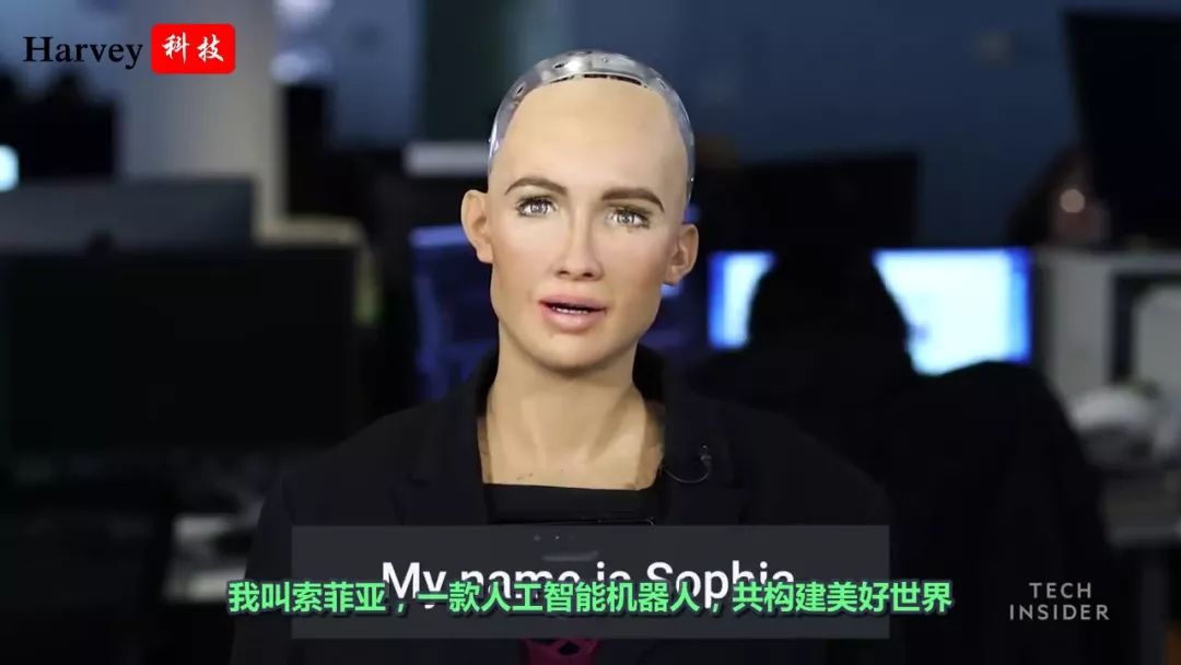 阿卡索外教网与vipjr英语