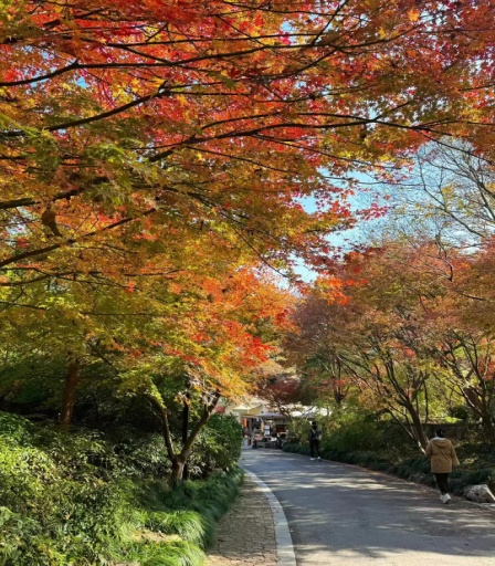 景德镇外教一对一_景德镇外国语_景德镇外语学院