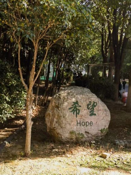 景德镇外教一对一_景德镇外语学院_景德镇外国语