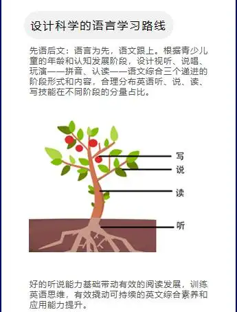 斑马英语一对一真人外教