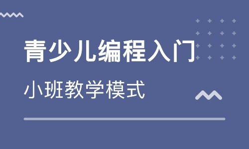 温州少儿编程培训学校缩略图